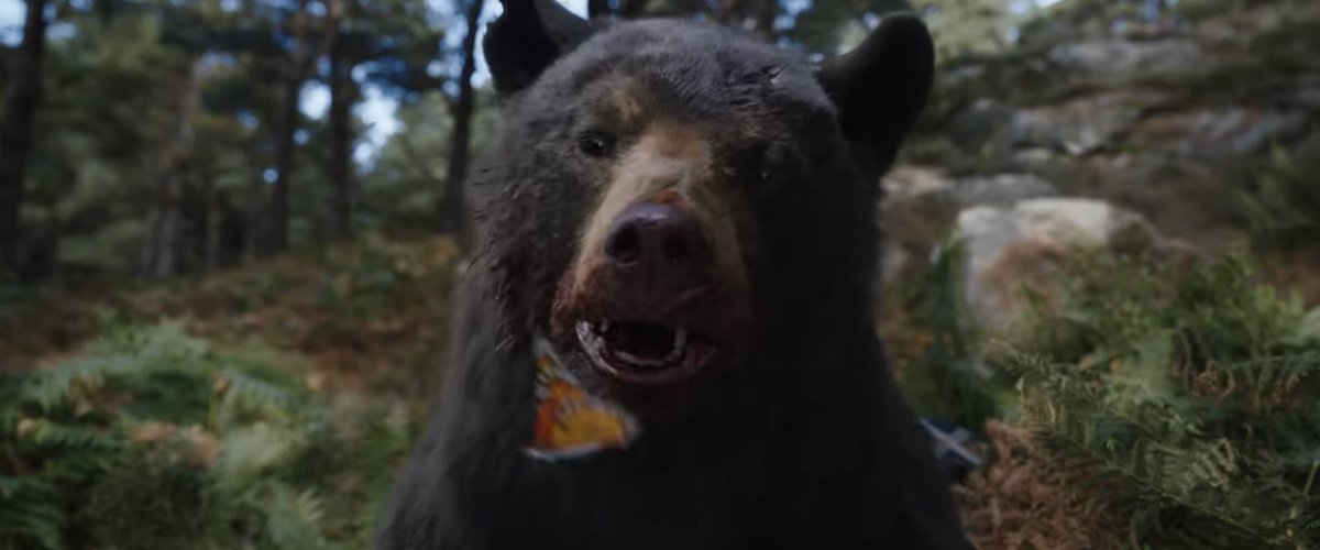 DiscussingFilm's tweet image. First look at the bear in ‘COCAINE BEAR’.

The film follows a bear who ingests a 40 containers of cocaine and goes on a coke-fueled rampage.