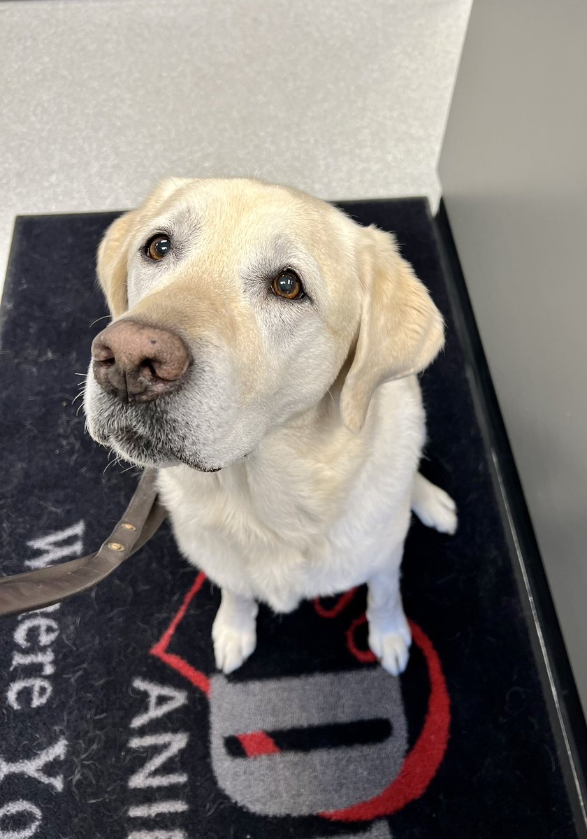 867-5309 (let the reader understand) tweet media