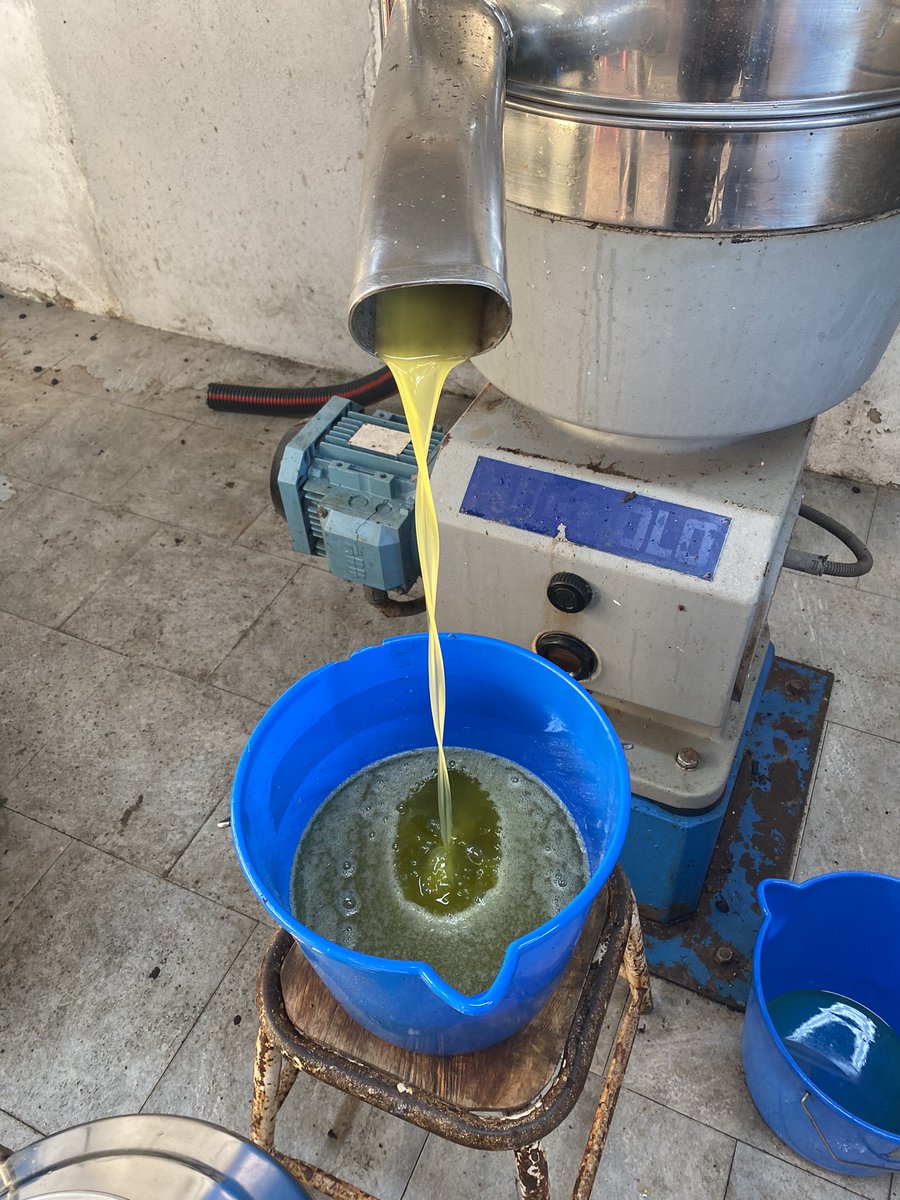 Geronimi Josepha tweet media