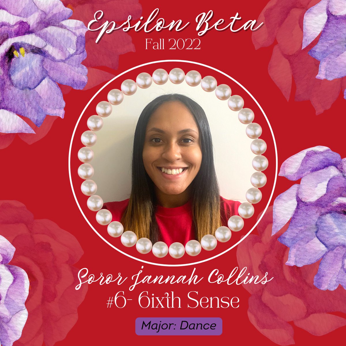 Introducing Soror Jannah Collins, but in Deltaland, we know her as 6ixth Sense #6