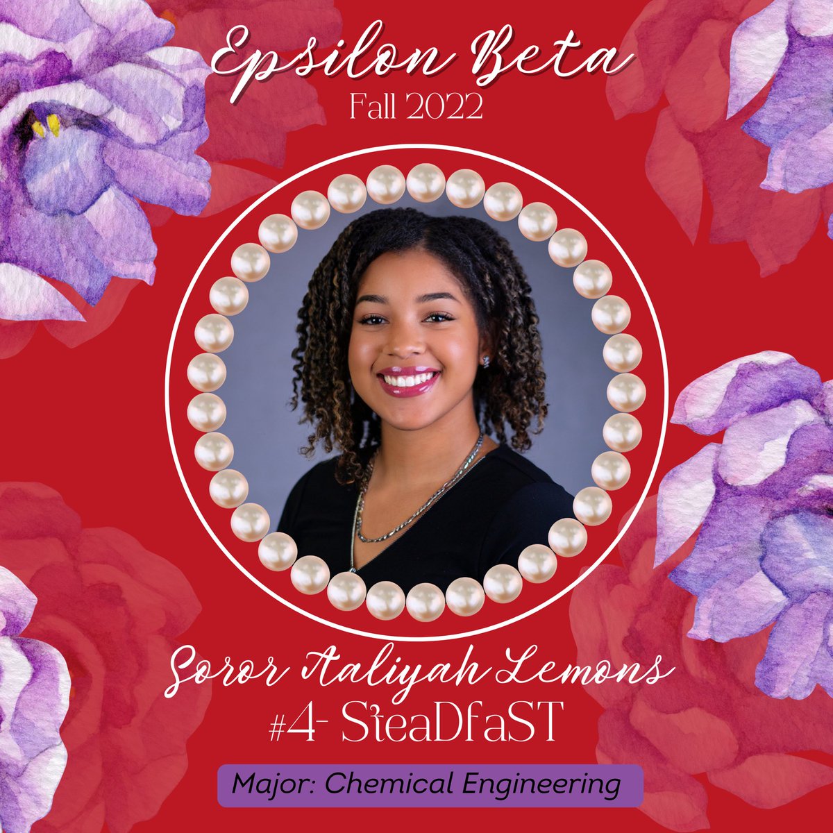 Introducing Soror Aaliyah Lemons, but in Deltaland, we know her as SteaDfaST #4