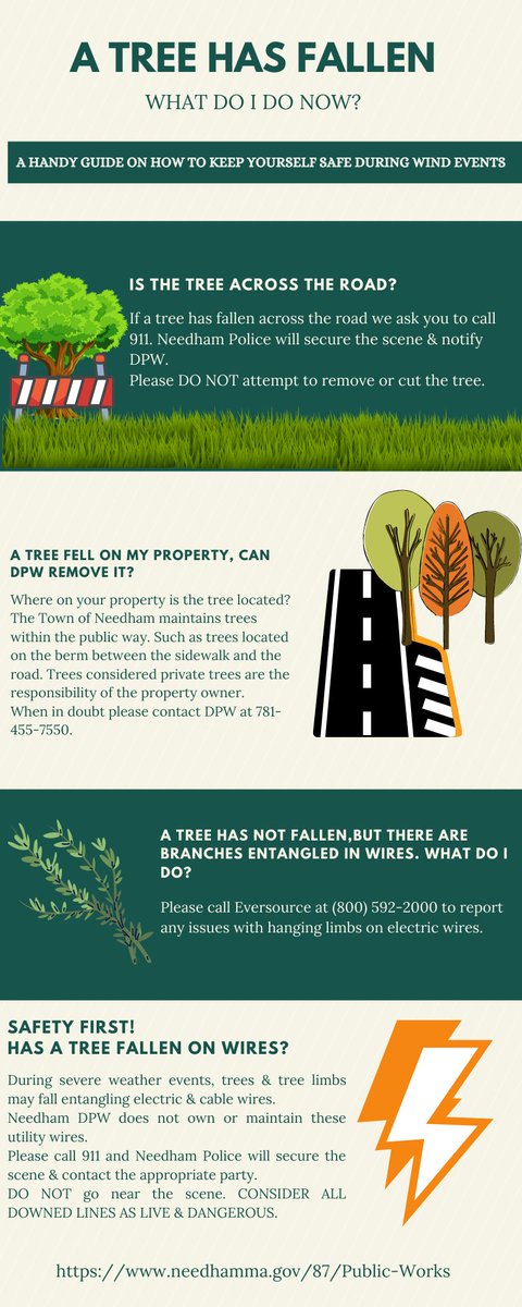 NeedhamDPW's tweet photo. Forecast calling for heavy rains with strong winds later today resulting in possible tree damage. Winds potentially 45-55mph with strong gusts. Please check catch basins and remove leaves, trash or debris to prevent flooding. Report issues to DPW using https://t.co/wZDff03ocV. https://t.co/qp2HOtreqf