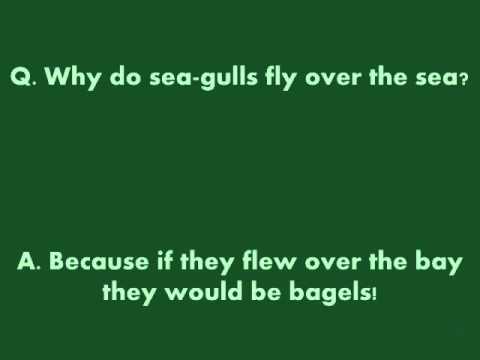 BHHS Media Center (@bhhsmediacenter) on Twitter photo 