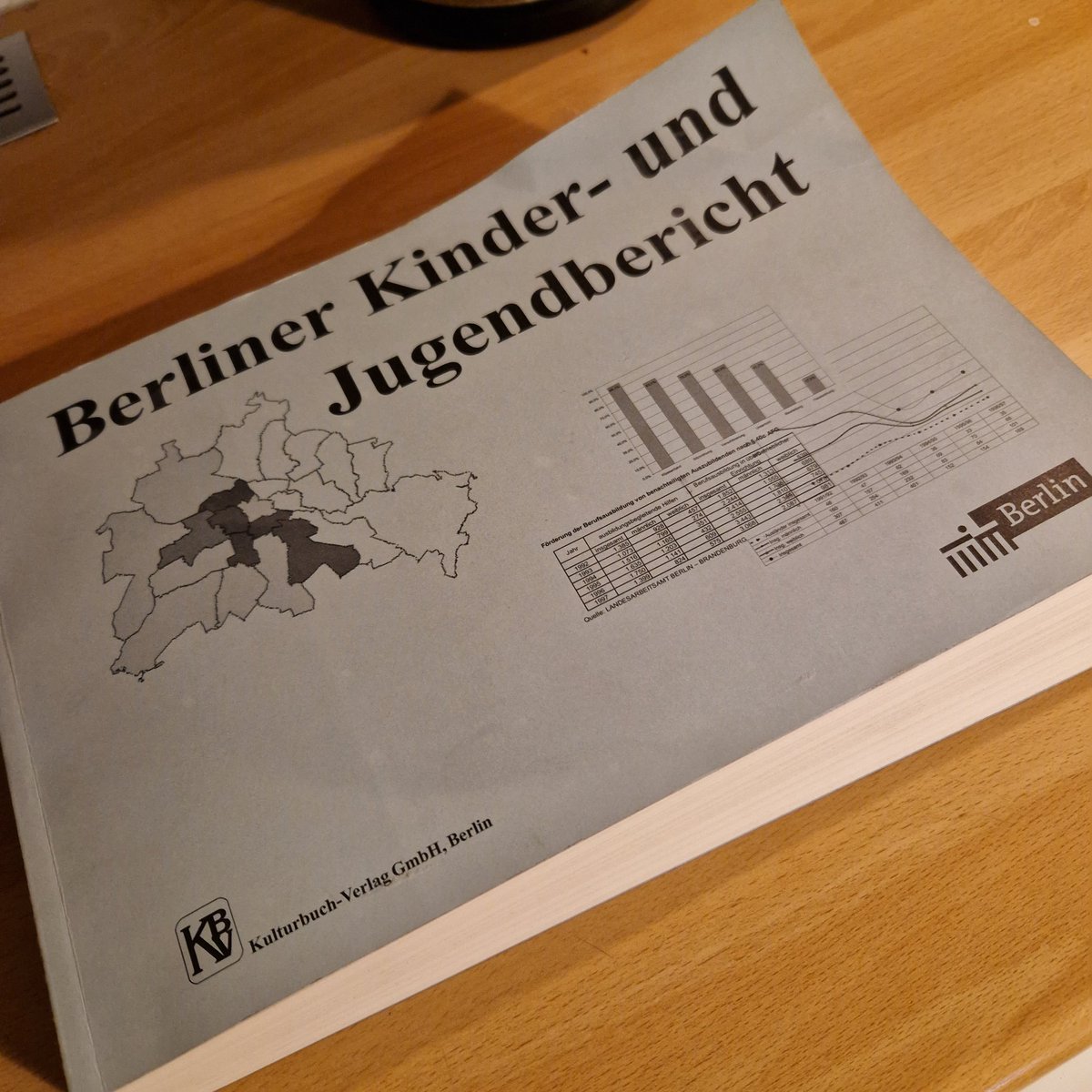KijubeB's tweet photo. @STARKgemacht @PaulFresdorf @SilkeGebel @dannyfreymark @ljrberlin Der erste und letzte Berliner Kinder- und  Jugendbericht ist aus dem Jahr 2000 - macht es aber auch nicht besser! https://t.co/vl0xUEnw8w