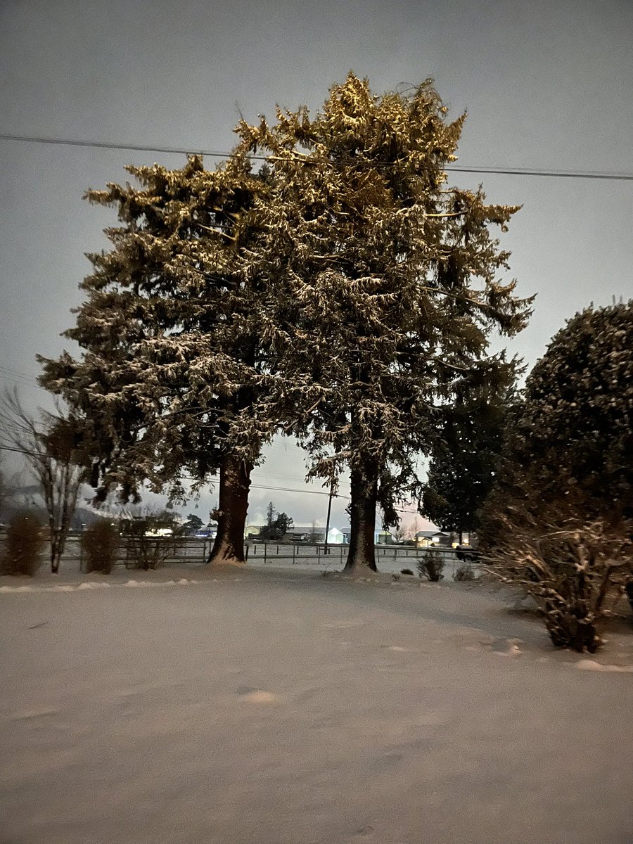GvGTech101's tweet photo. @BCWeather101 Thank you Andrew for always doing your best to predict the weather!! #BCStorm https://t.co/Kyh7WqQCR6