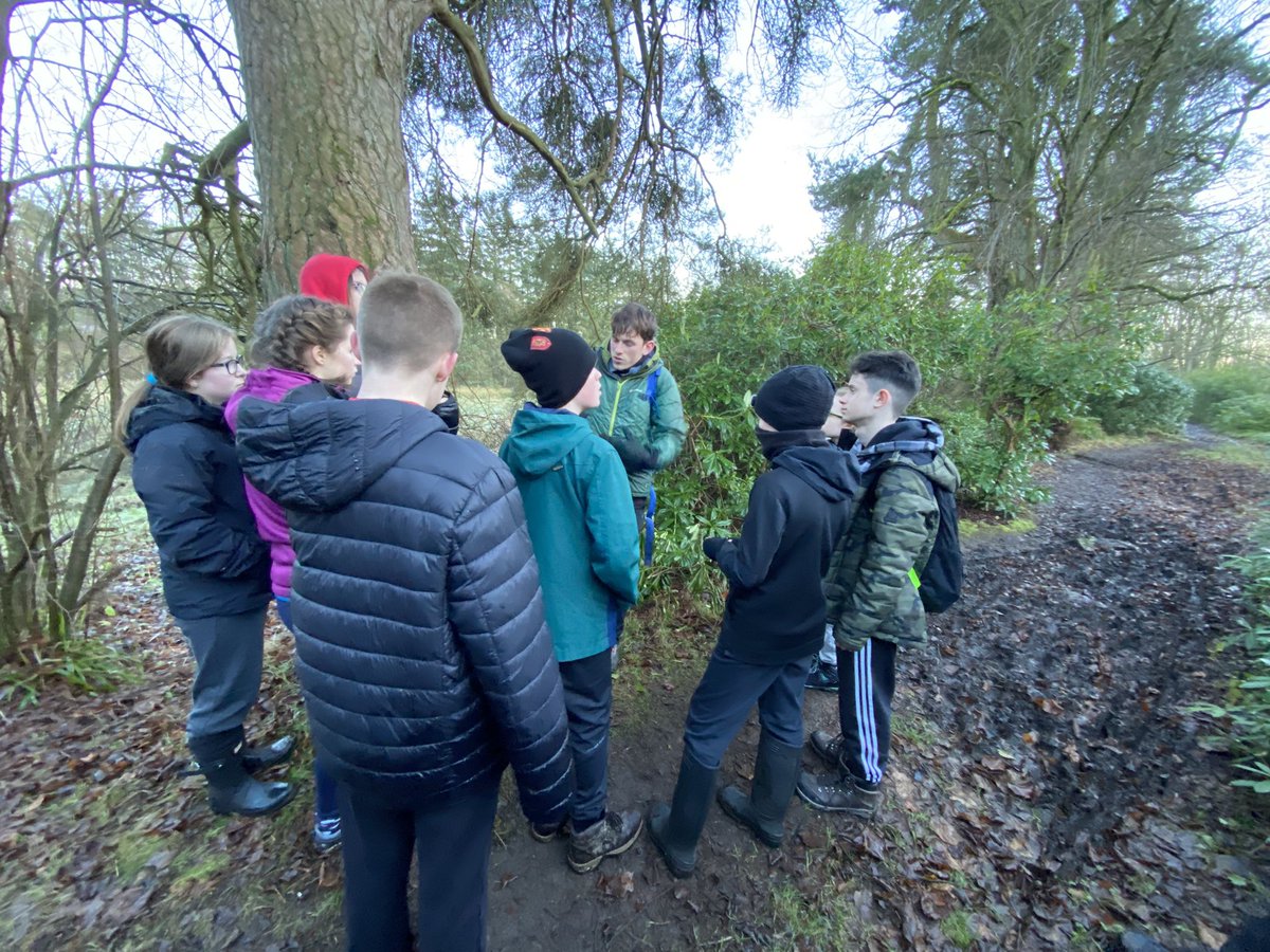 Miss Ross tweet media