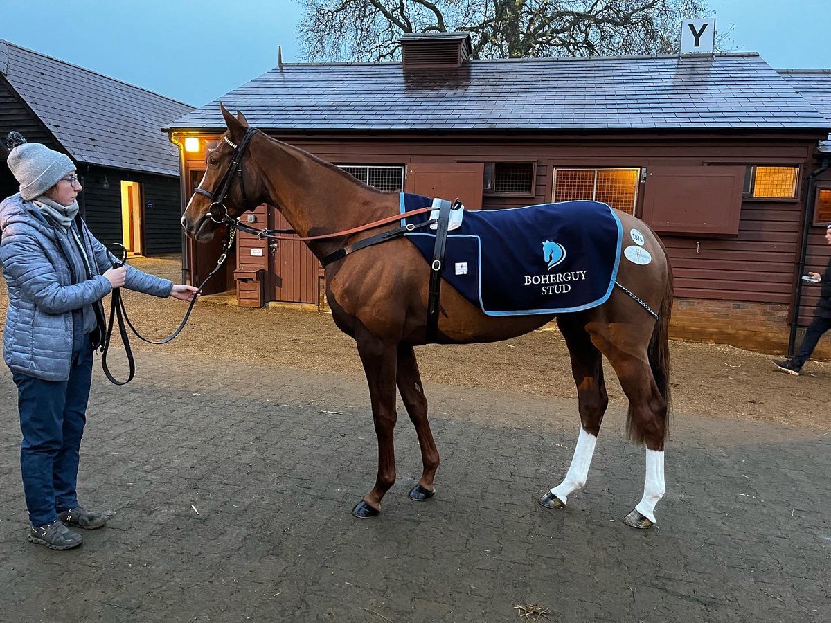 Clare Manning tweet media