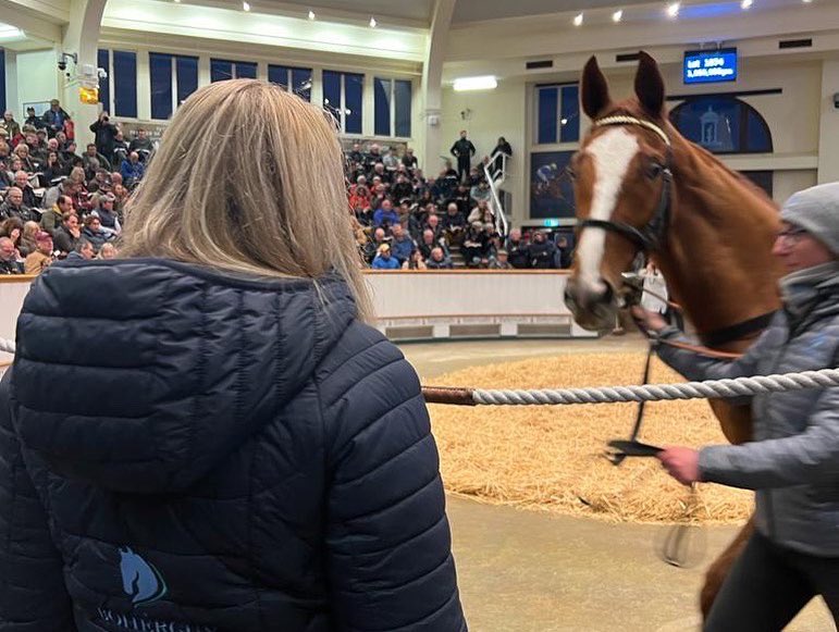 Clare Manning tweet media