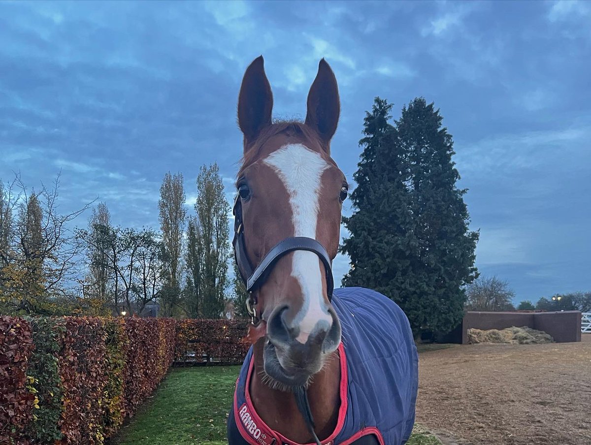 Clare Manning tweet media