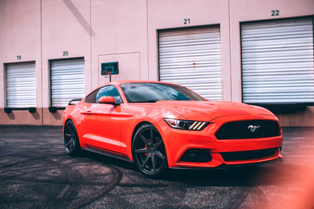 QualityCallInc's tweet image. Ford parts and more 𝗙𝗼𝗿𝗱 𝗽𝗮𝗿𝘁𝘀!! 𝘕𝘦𝘦𝘥 𝘴𝘰𝘮𝘦? 𝗖𝗼𝗻𝘁𝗮𝗰𝘁 𝗨𝘀! @DemmerFord

𝗘-𝗠𝗮𝗶𝗹: qualitycall@marketmaneuvers.com
𝗡𝗲𝘄𝘀𝗹𝗲𝘁𝘁𝗲𝗿 𝗦𝗶𝗴𝗻 𝗨𝗽: admail.net/form/10047/692/

#OaklandCounty #MacombCounty #WayneCounty #WashtenawCounty #AutoParts