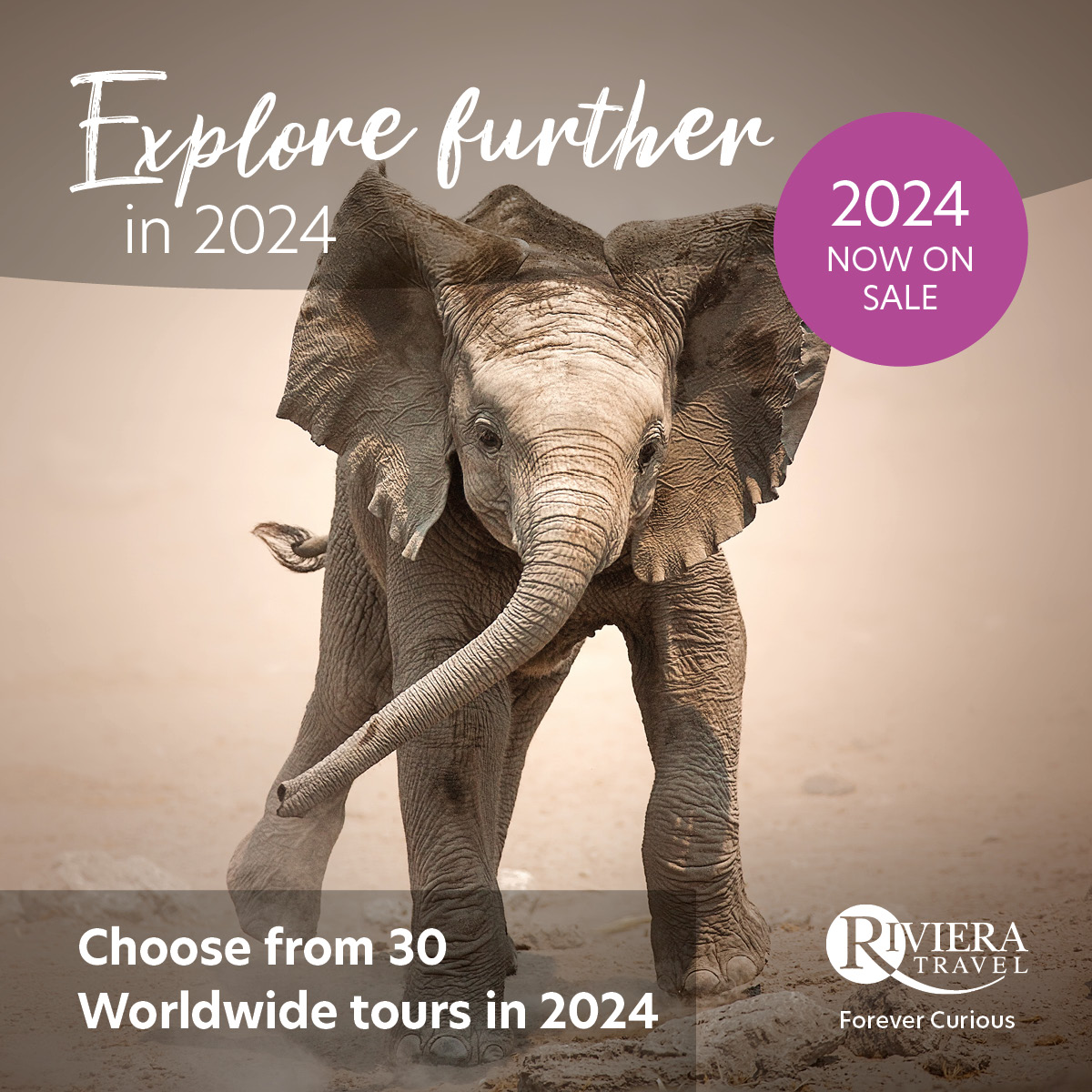 We have today launched our 2024 River Cruise and Worldwide programs. 😍😍😍
 Clients can save up to 10% off their 2024 River Cruise if they book by the end of Feb 23.
