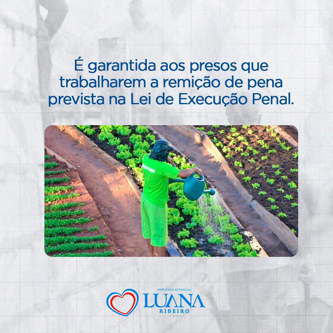 LuanaRibeiroTo's tweet photo. Quatro anos após a aprovação dessa lei, já nos tornamos 6º estado do país na efetivação desta política pública, alcançando cerca mais de 20% dos presos tocantinenses. + https://t.co/4EmVFj1yin