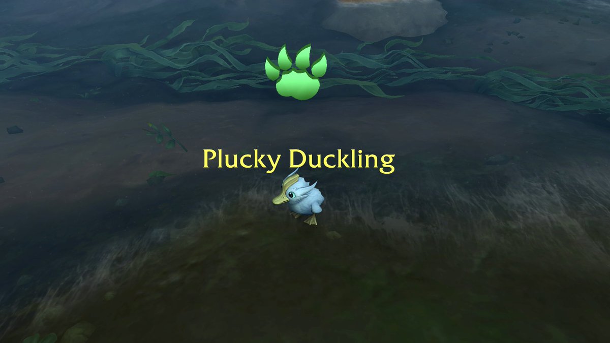 cheersitskatie's tweet image. i love when world of warcraft is ducks