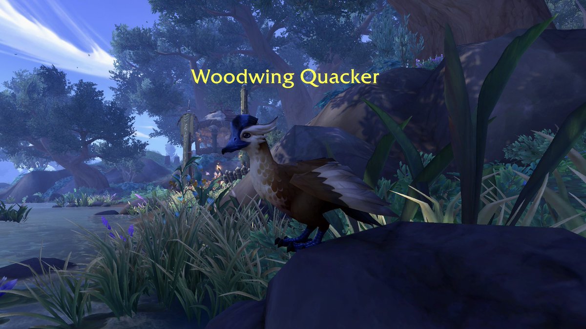 cheersitskatie's tweet image. i love when world of warcraft is ducks