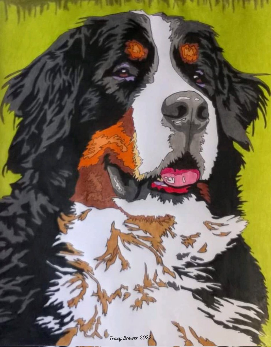 Sketched this lovely dog then used colouring pencils to finish. #art #drawings #Dog #sketch #pets #pencilart