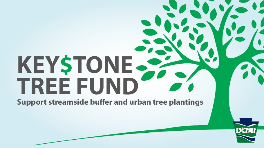 DCNRnews's tweet photo. Pennsylvanians interested in supporting streamside buffers and urban tree plantings can help through the #KeystoneTreeFund. Donate $3 when you renew your driver's license or vehicle registration; or make a direct donation. Learn more ➡️ https://t.co/n4Xfxa95Zr. #StreamsideBuffers https://t.co/RMl8zXJU9G
