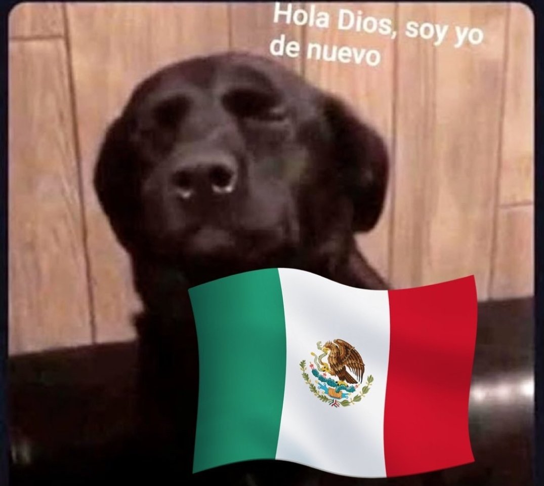 RomaGoldi's tweet photo. 99% de fe.
1% de probabilidades. 🇲🇽🇲🇽🇲🇽 #MéxicoVsArabia https://t.co/0pYAIu932N