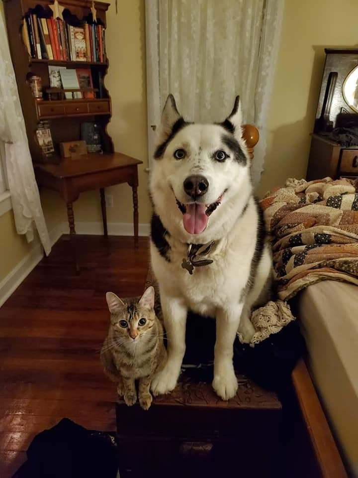 genxrescue's tweet photo. @ElleEIre We hope you feel better soon! https://t.co/ZVb3VBwnyf