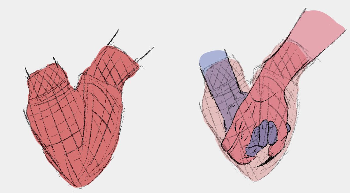 winter's here 🥰
#Destiny2Art