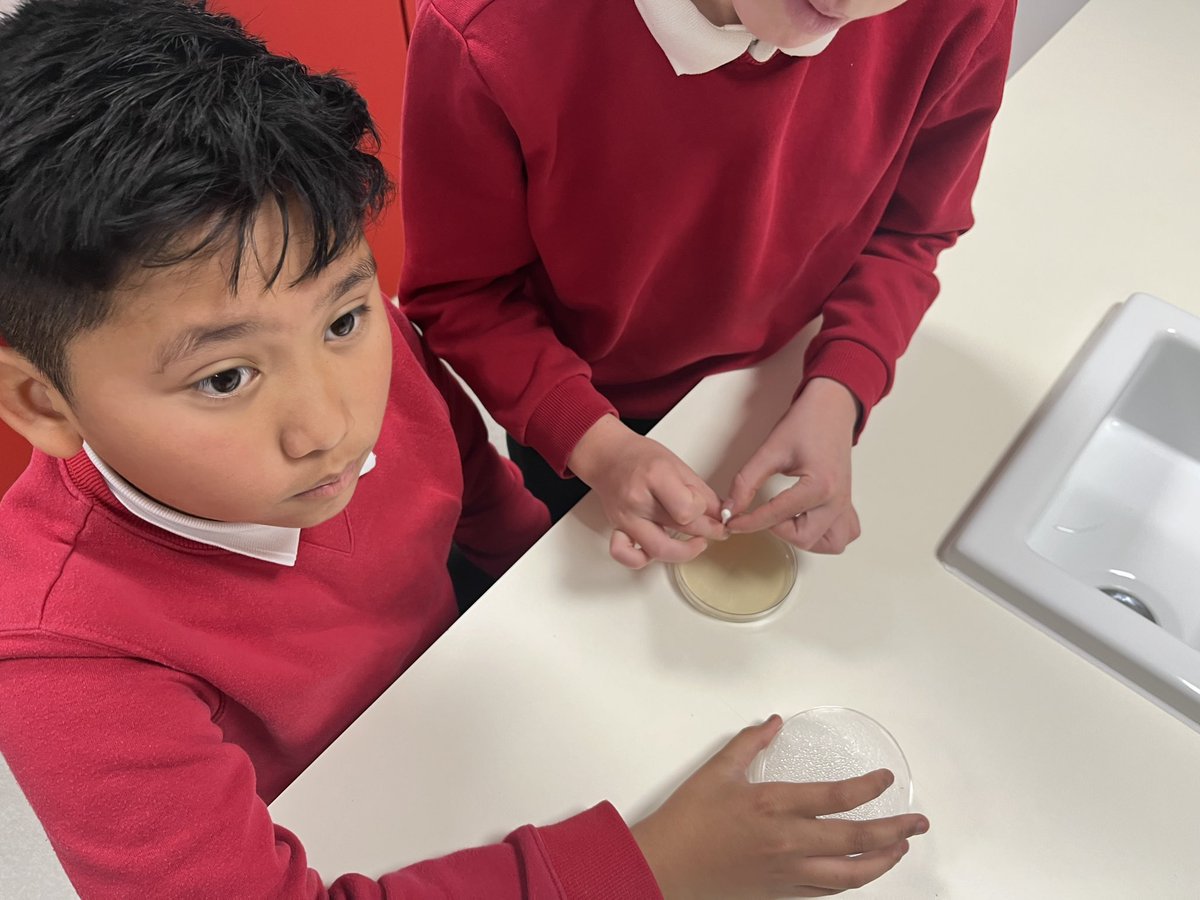 HGPAMrDawson's tweet photo. 6VD have the investigated bacteria and microorganisms today. We soon realised our hands aren’t as clean as we may think. Let’s wait and see how many microorganisms we’ve collect from parts of our bodies 🦠🧫🔬 #harrowgateacademy #harrowgatescience #harrowgatestem https://t.co/HBtuLoIBTb
