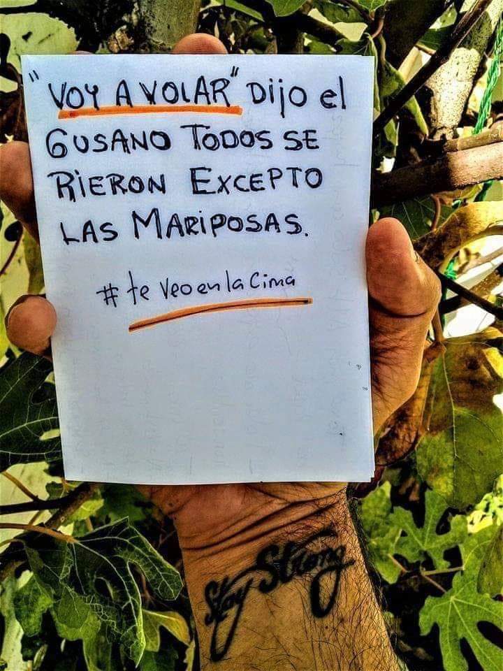 Kathysp8's tweet photo. Solo el que sabe lo que es volar respeta al gusano.... 🔥

#Pensamiento #frases #buenastardes https://t.co/turuiH45Qs