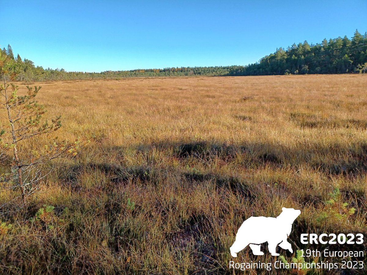 European Rogaining Championships 2023 Bulletin 2 has been published, registration will open on January 1 st. tume.fi/erc2023 #suunnistus #rogaining #orienteering