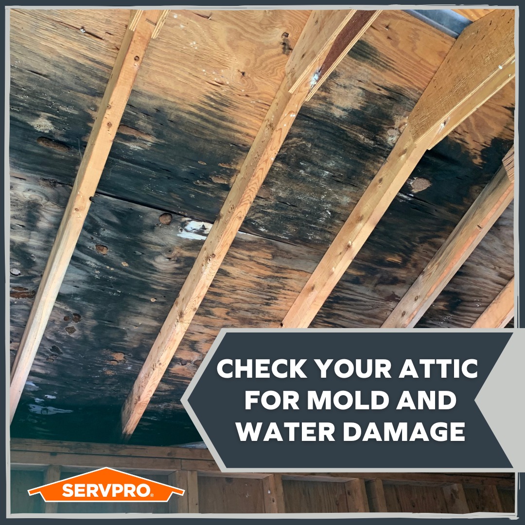 It's that time of year, when you make your way into the attic or basement to grab those holiday decorations, make a point to check for any mold or water damage that may be lurking around.
#HereToHelp #CallSERVPRO