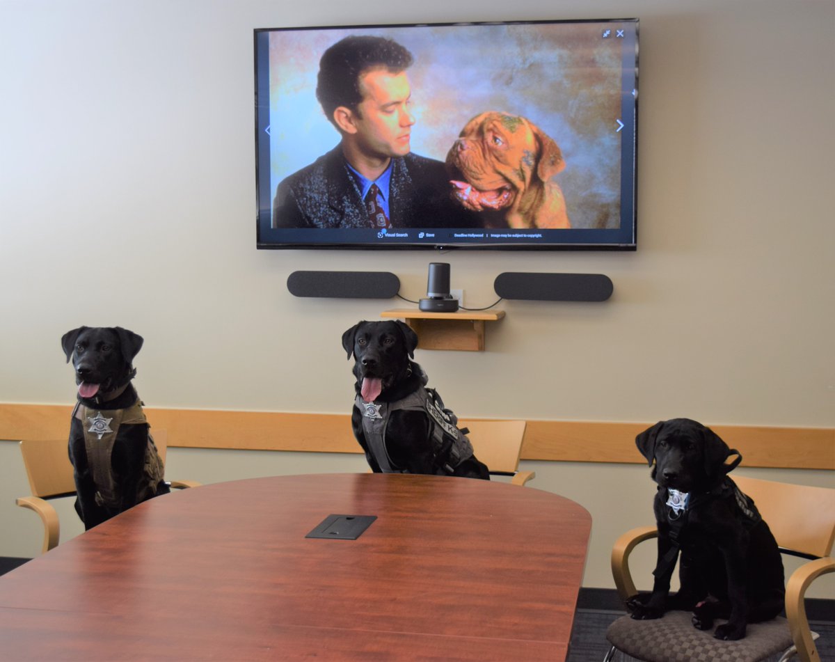ArapahoeSO's tweet photo. Our school therapy dogs waiting to speak with Sheriff Brown. We think they want a raise. 
#notinthebudget #howboutatreat https://t.co/SFozYnnkuM
