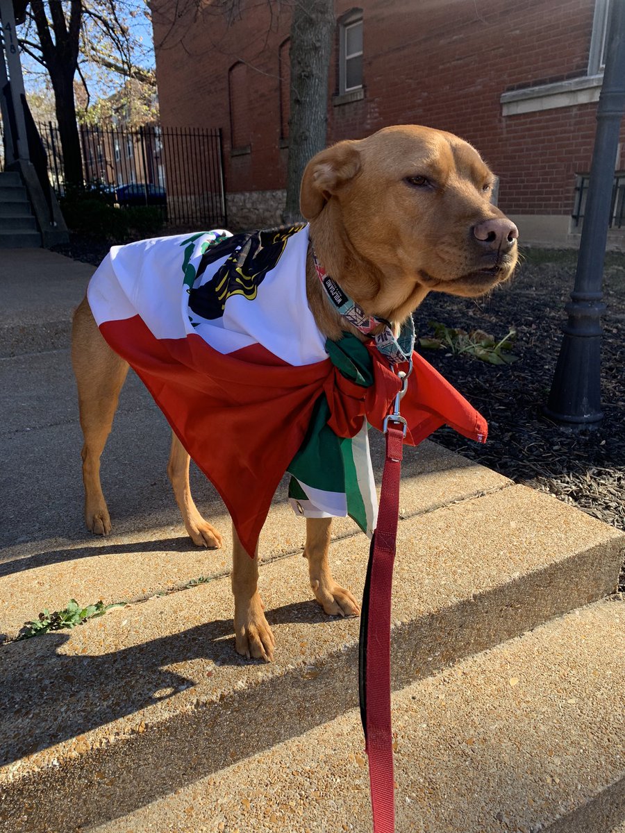 GidiKot's tweet photo. Vamos Mexico!!! Si se puede!!! https://t.co/u7Pa12GYv4