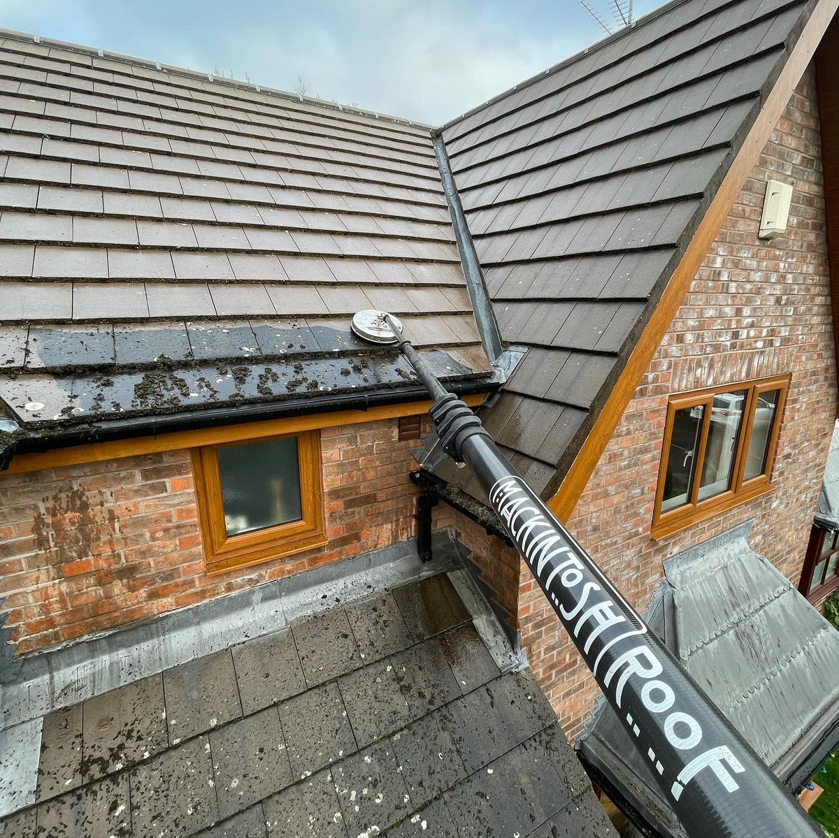 MackintoshClean's tweet photo. Mackintosh Roof pole available in the online store.πππΌ
π
https://t.co/9GsDjdLywh
#roofclean #tools #cleaning #carbonfibre #pressurewashing #pole #jetwash #roofcleaning #powerwash #aemackintosh #professional #exteriorcleaning #service #business https://t.co/4z1QKAqG3T