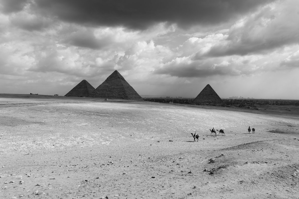 CipherVisuals's tweet image. 