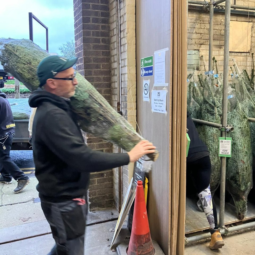 The Wood Store tweet media