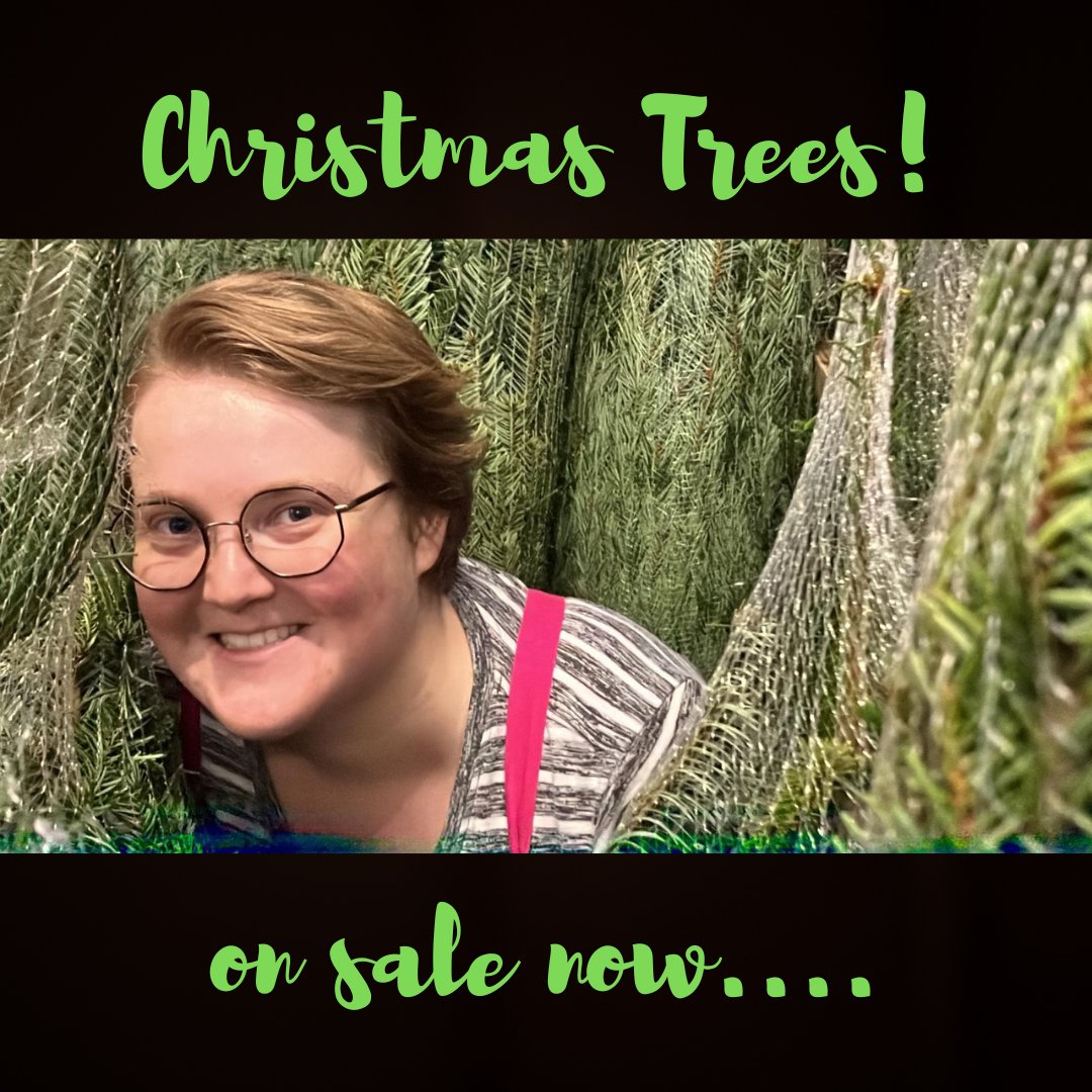 The Wood Store tweet media