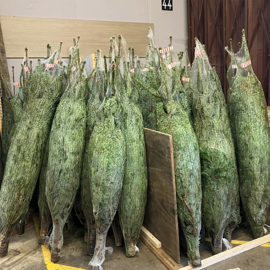 The Wood Store tweet media