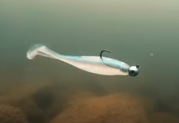 BassFishnTips's tweet photo. Paddletail Swimbaits for Late Fall/Early Winter Bass 

https://t.co/hmz7ePMU6u https://t.co/rXZWGU3frN