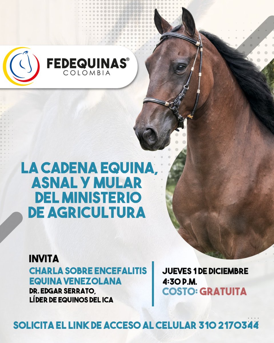 FedequinasOrg's tweet photo. ¡ATENCIÓN! Los invitamos a asistir gratuitamente a la charla virtual sobre Encefalitis Equina Venezolana, con el Dr. Edgar Serrato, líder de equinos del ICA.

Solicita el link de acceso a la reunión al whatsapp 310 217 0344.

¡FEDEQUINAS más cerca de todos!

#Fedequinas https://t.co/wnwzIr3WON