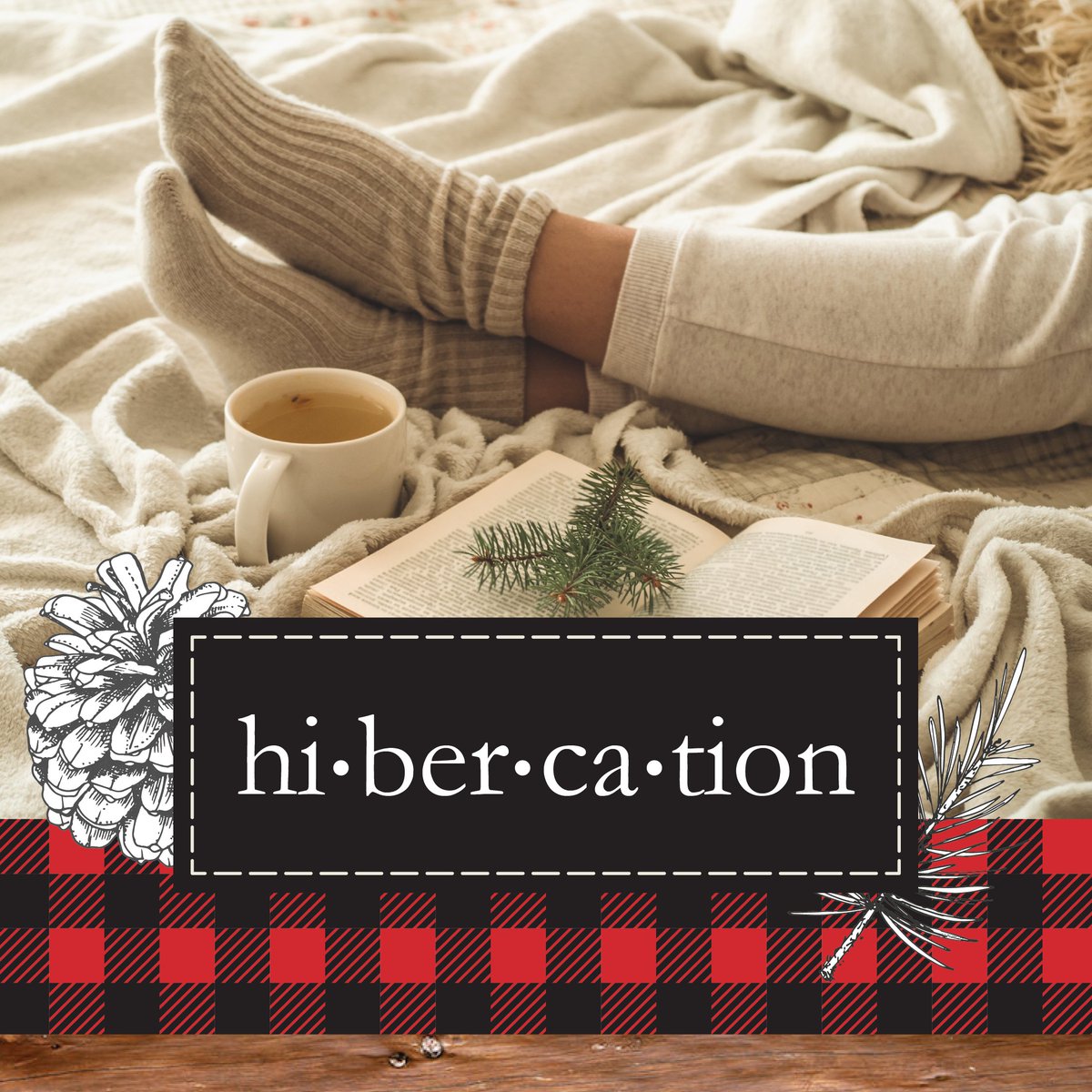 Have you heard?! Hibercation is back! We define it as part vacation, part hibernation and 100% good for the soul. 
For more information check out our latest blog.
tourcayuga.com/blog/post/the-…
#tourcayuga  #hibercation #cozy  #getaway