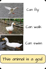 why you should have a duck 🦆 (@shouldhaveaduck) on Twitter photo 2022-11-30 19:52:01
