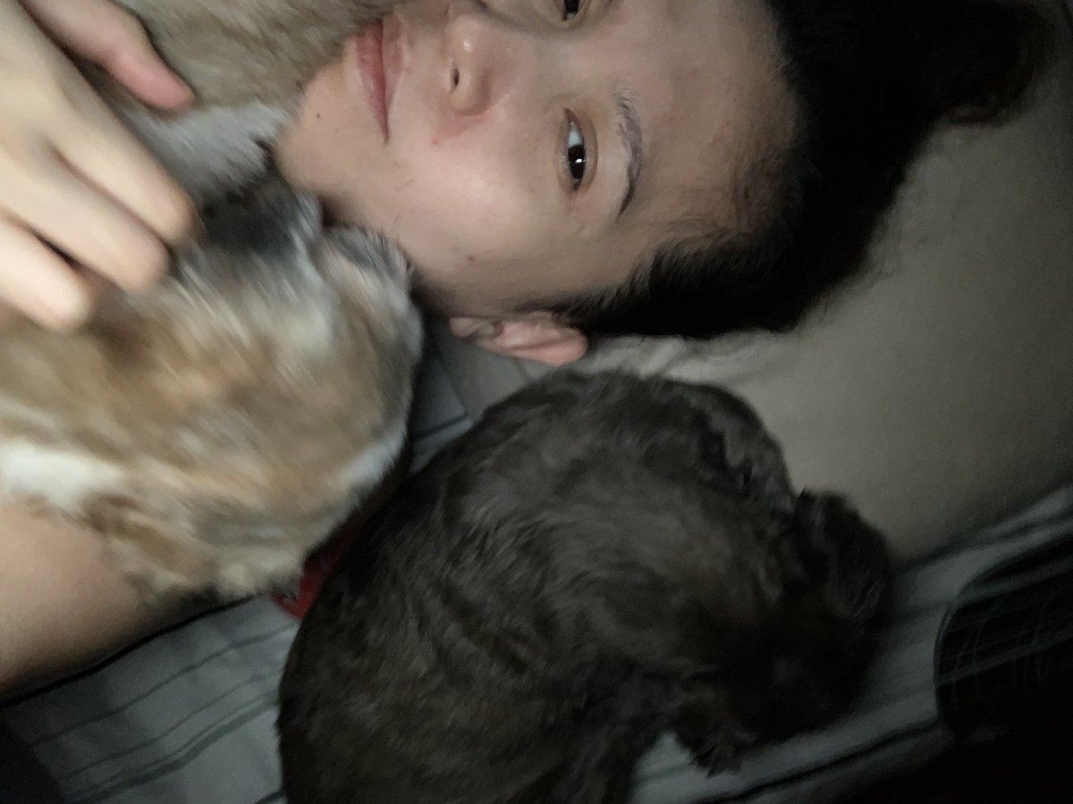 iamzsa04's tweet photo. Yung dalawang junakis ko nuknukan din ng clingy! Hahaha i feel loved 🥰 https://t.co/QL8NvyoiPq