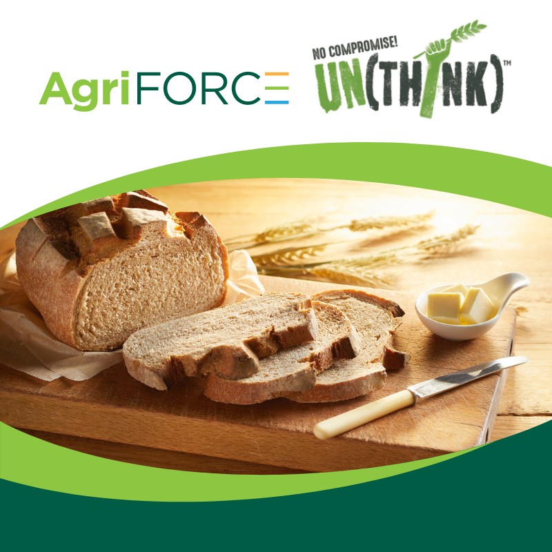 AgriFORCE’s UN(THINK) Foods aims to fill the existing gap for healthy alternatives without compromising on taste or texture. 
Read more here: ir.agriforcegs.com/news-events/pr…
#nutrition #food #wheat #unthinkfoods #agriforce