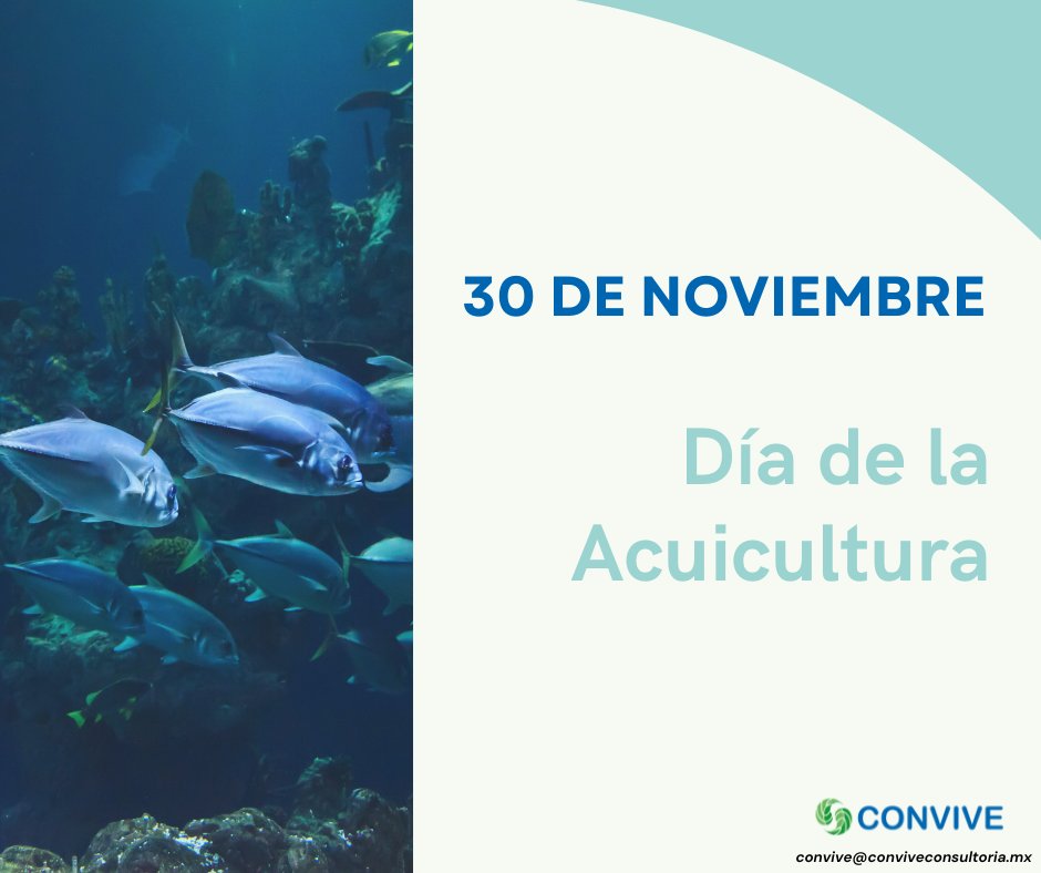 convive_sc's tweet photo. La #acuicultura, que es el cultivo en condiciones controladas de especies que se desarrollan en el medio #acuático, ha comenzado a percibirse como una vía para satisfacer las demandas, del consumo de pescado.

#medioambiente #consultoría #sustentabilidad #noviembre30 #30noviembre https://t.co/e0sKQ9wxZx