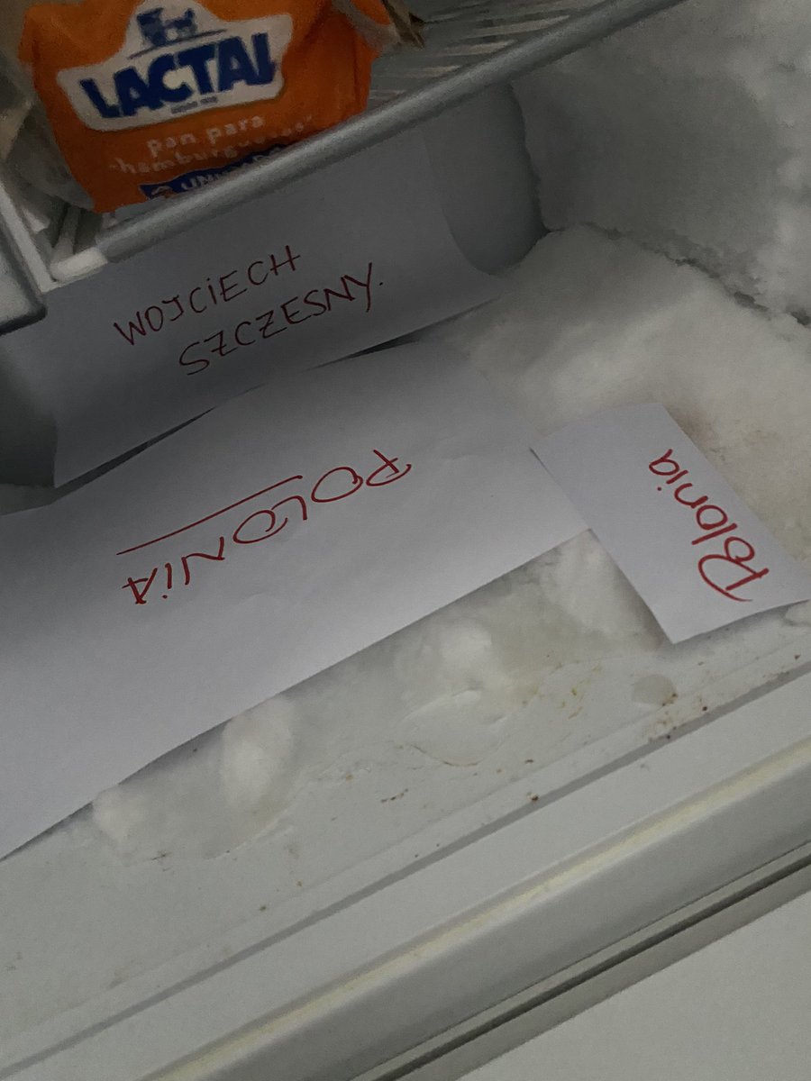 tereemangold's tweet photo. Argentina vs Polonia 
Freezer: https://t.co/GGwXiXolAk