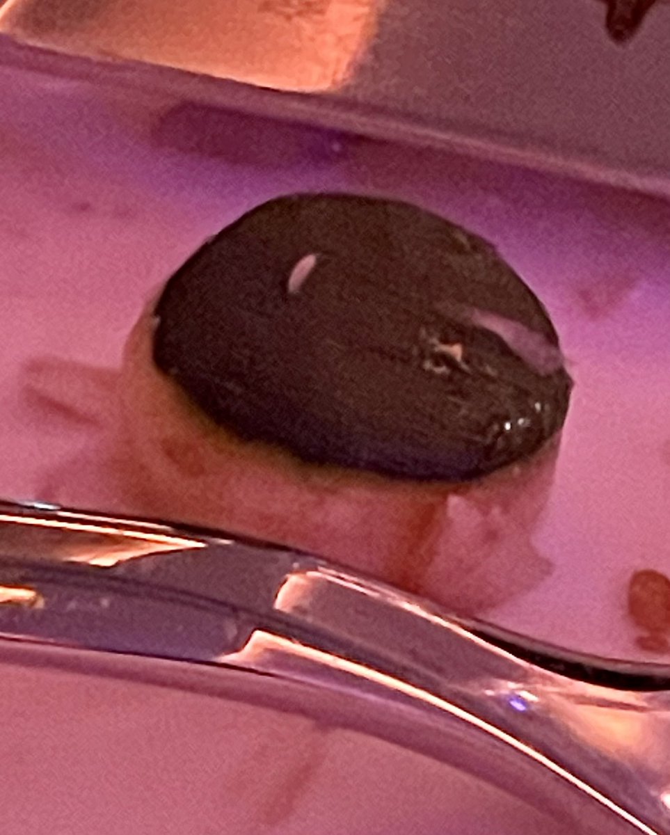MAITRON's tweet photo. Ain’t no party like a baby courgette party #IHRA22 https://t.co/f0KKoA4rFB