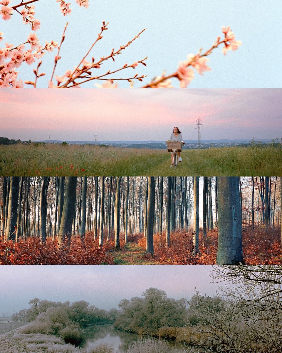 Seasons on film 🎞️