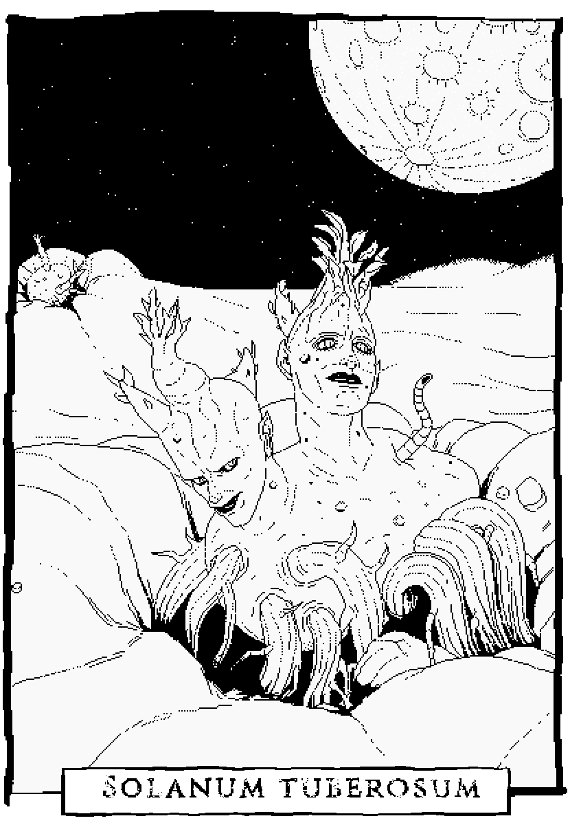 oficinastk tweet media