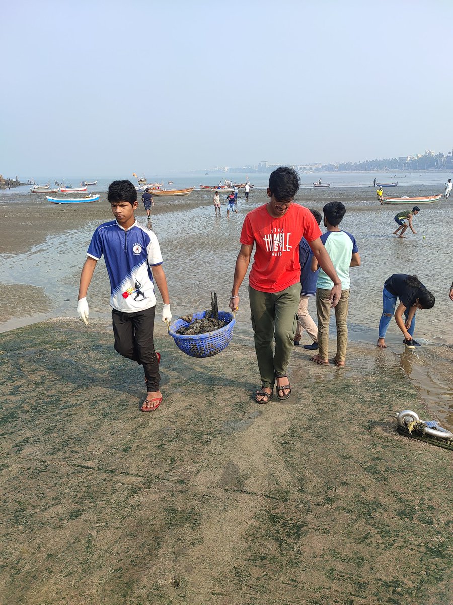 gullyclasses's tweet image. Juhu Cleanup Drive by Gully Classes Foundation with Green Pencil Foundation on 27th November. 20+ Volunteers joined this drive.

#Mumbai #Juhu #Gcf4Environment 
@poojadesaid @4ocean @ejfoundation @environmentca @beachfossils @OfficialCSFilmz @mahimbeach @josephjohn2611 @fpjindia