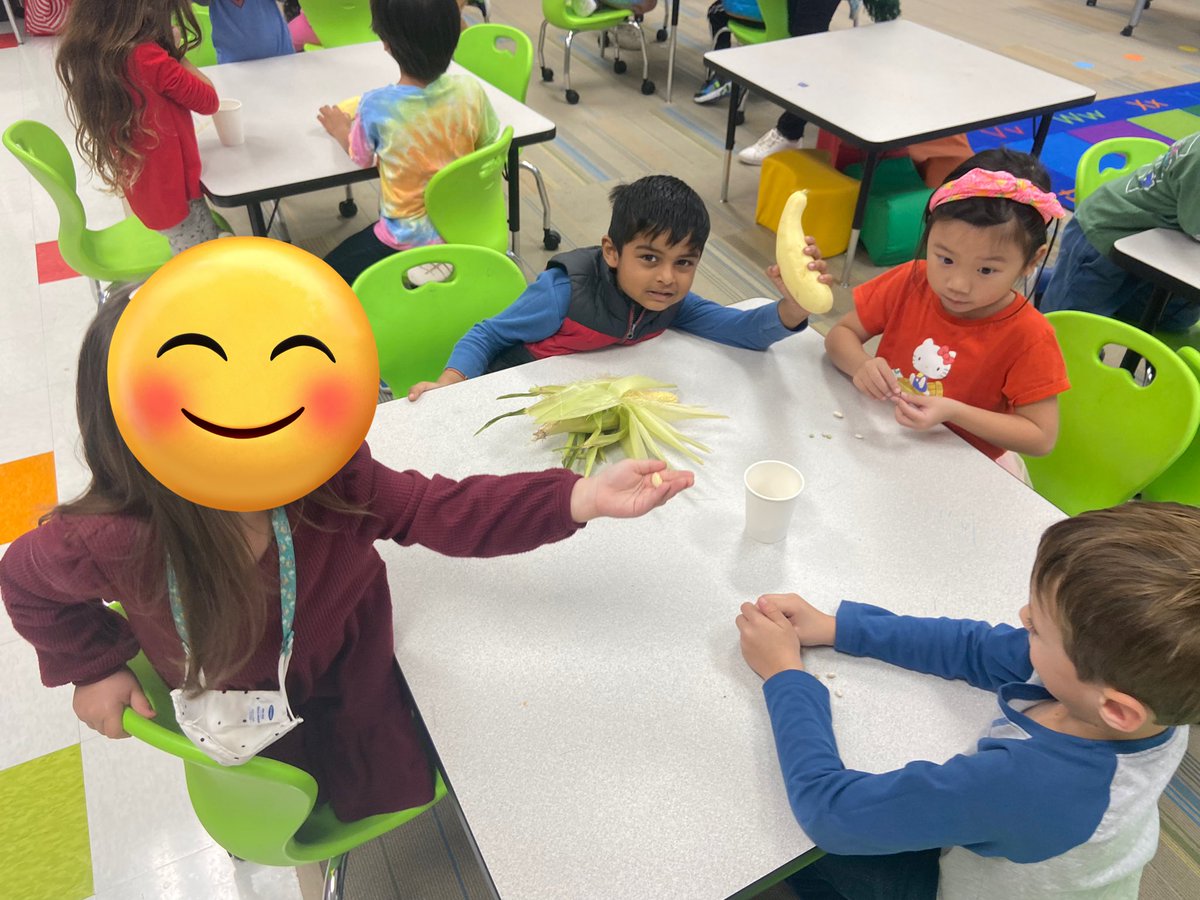 Lauren Foreman tweet media