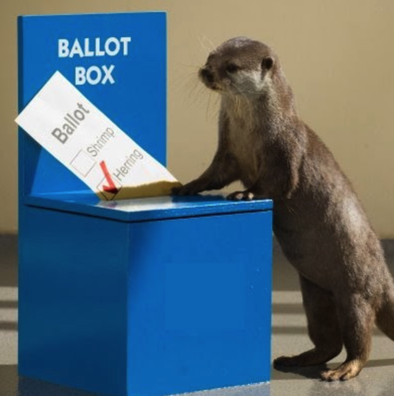 Midterms: Voters supported  minimum wage increases, access to abortion, cannabis legalization, housing affordability and union jobs.
bit.ly/3VoDXDG <a href="/EconomicPolicy/">Economic Policy Institute</a>