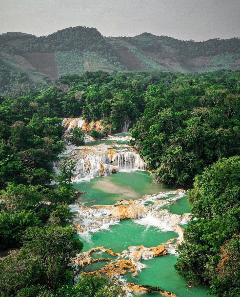 visitchiapas_mx's tweet photo. Esta es una gran temporada para encontrarse con las Cascadas de #Chiapas. 🌳🍃💦 #AguaAzul
📸 @c__l__o
#VisitChiapas #MeEncantasChiapas #VisitMexico #Tumbala #SaltoDeAgua #Chilon https://t.co/8AnwsioMRj