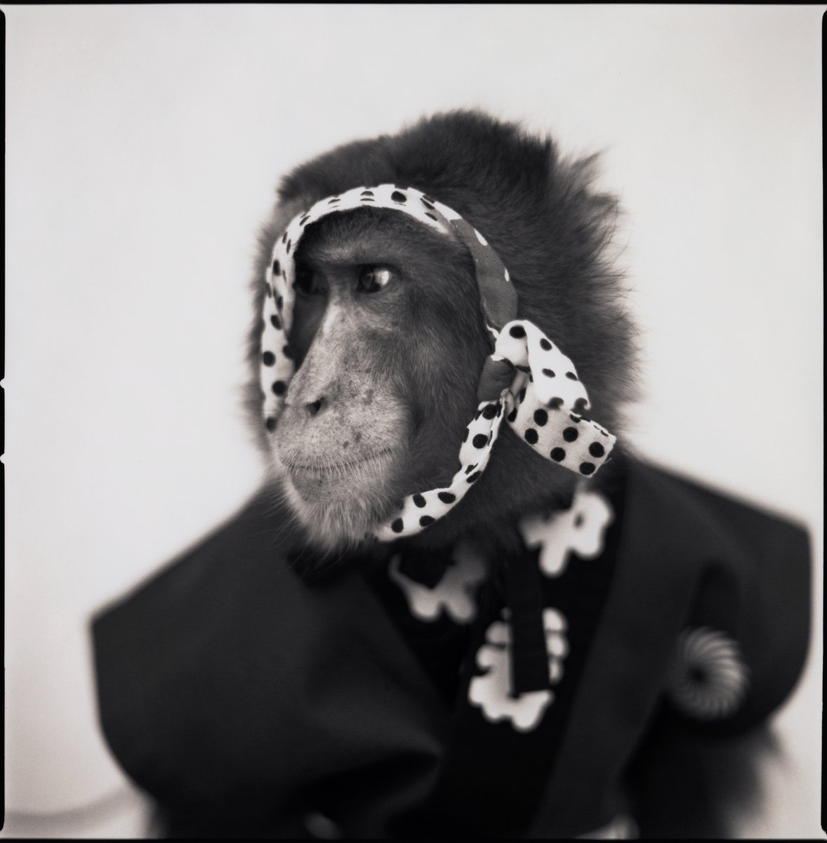 Our annual #BenefitAuction is our *most* important fundraiser! Proceeds directly support our critically-acclaimed exhibitions, publications + educational programs.
Bid on these works by Thomas Struth + Hiroshi Watanabe, as well as 50+ other fabulous works on <a href="/artsy/">Artsy</a> - link in bio!